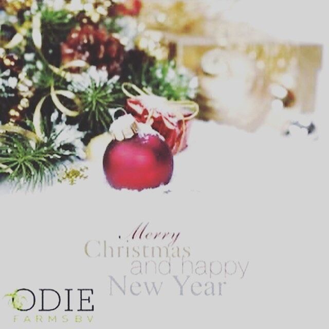 We wish you and your Family a Merry Christmas and a Happy and healthy New Year in 2022 !